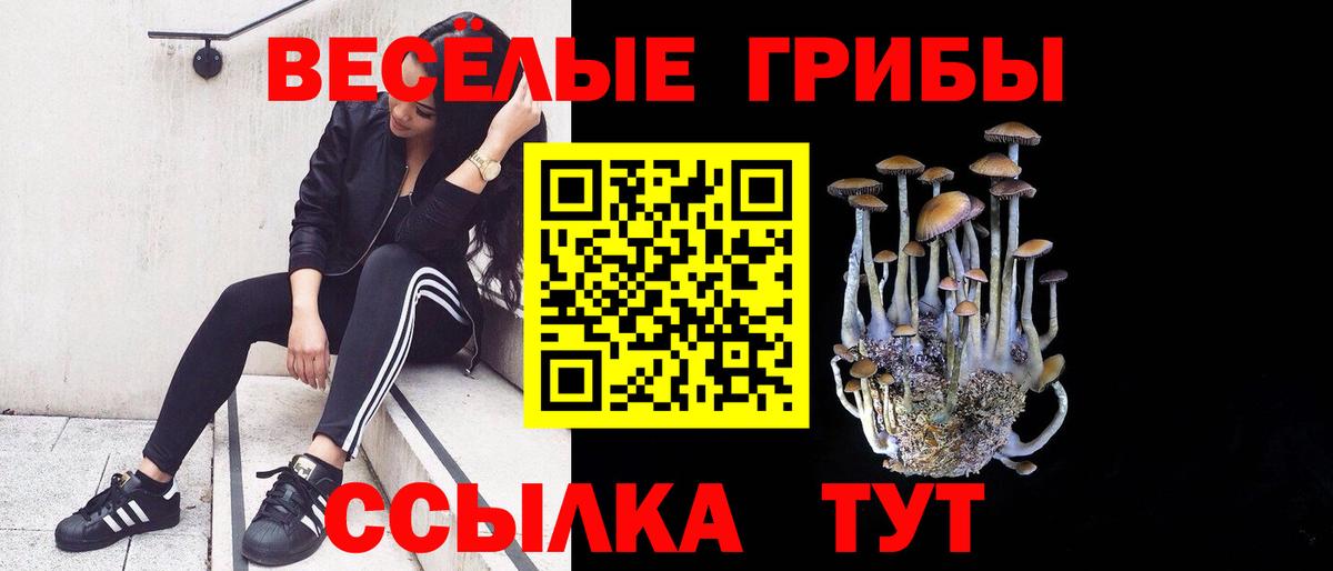 Псилоцибиновые грибы Psilocybe  Вход с VPN  Будённовск 