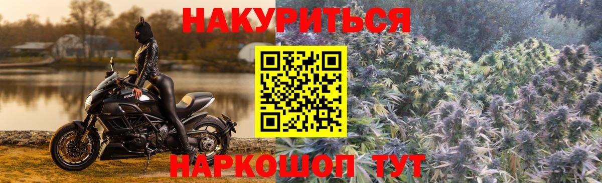 Бошки Шишки SATIVA & INDICA Будённовск